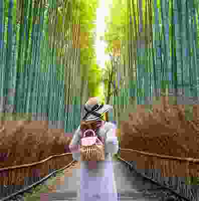 Women exploring Bamboo Forest.